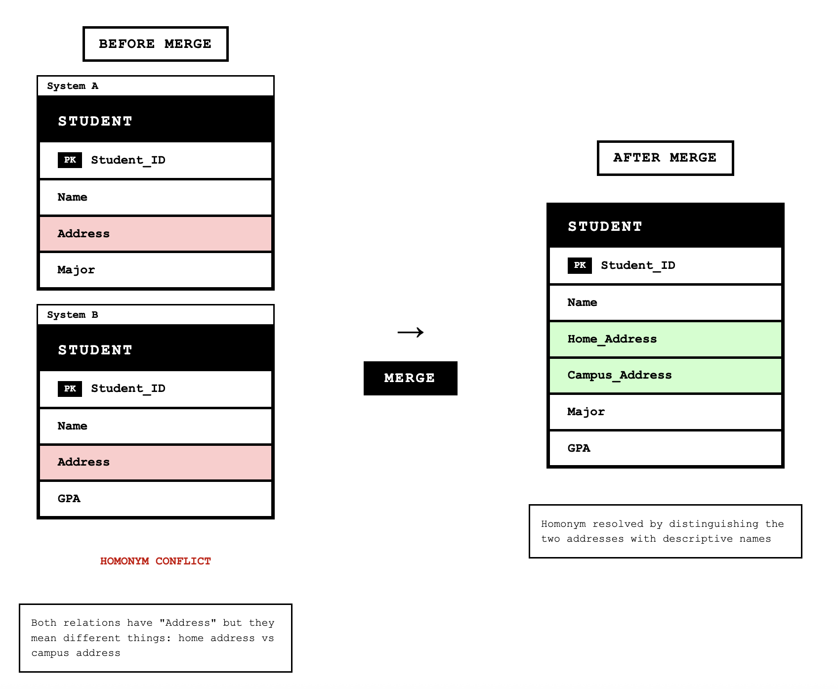 Shows Homonym Resolution.